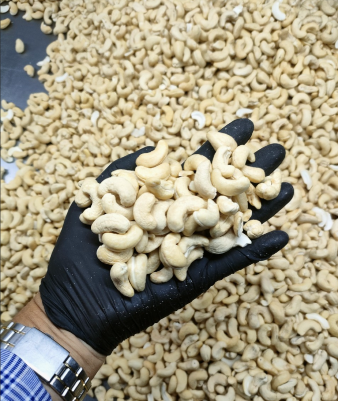 Anacardi from Vietnam